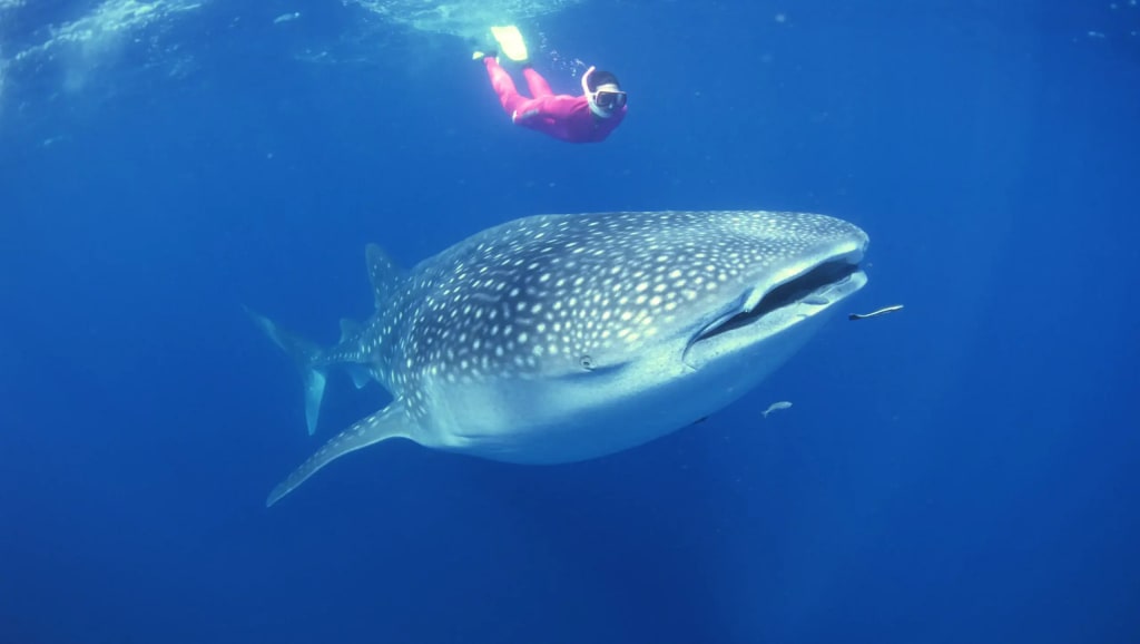 mexico travel and leisure