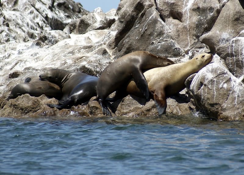 san jorge island