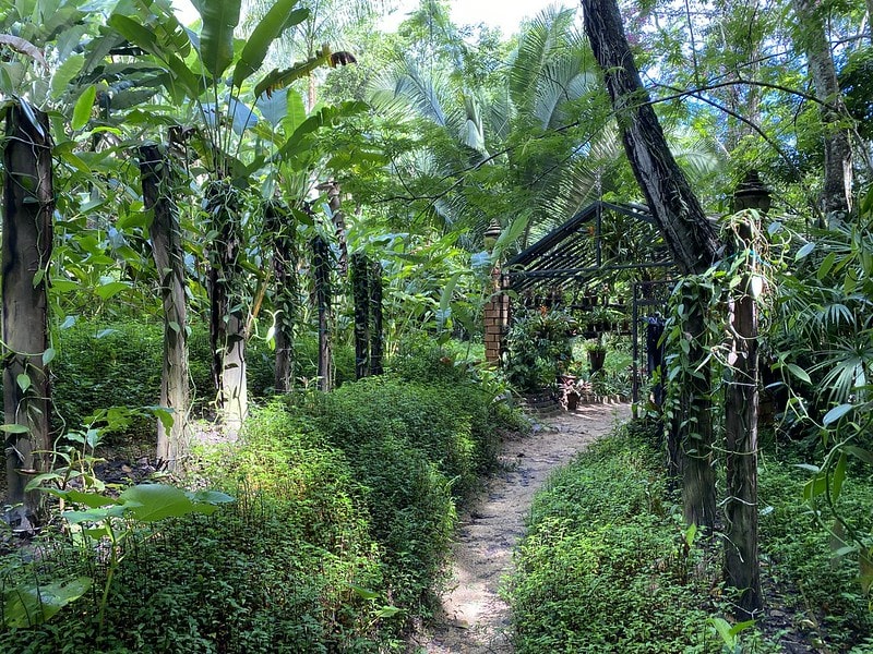 best activities in puerto vallarta