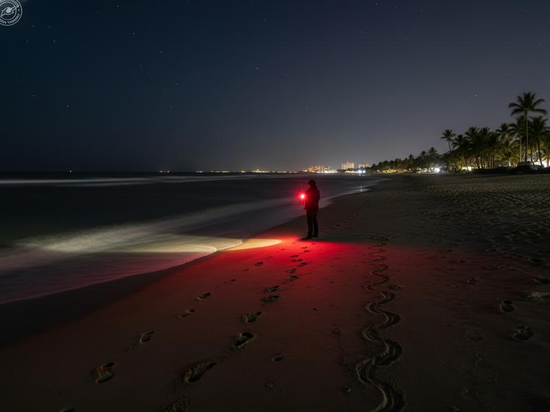 Red light and footprints on Puerto Vallarta beach during turtle conservation night