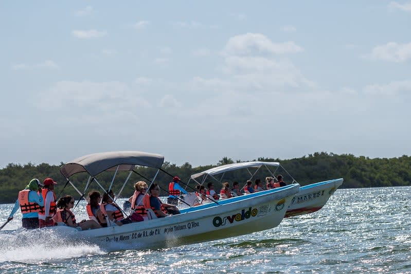 punta allen