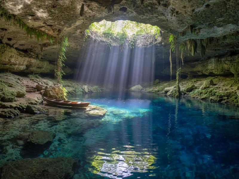 Freshwater turtle swimming in the crystal-clear waters of a cenote near Tulum, with snorkelers visible in the background