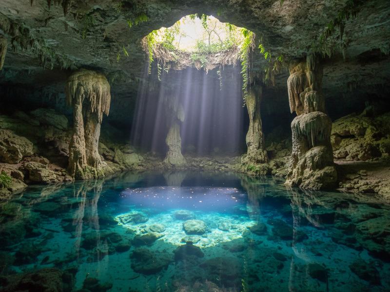 Open cenote with lush jungle vegetation surrounding the circular pool, vines trailing down toward the turquoise water