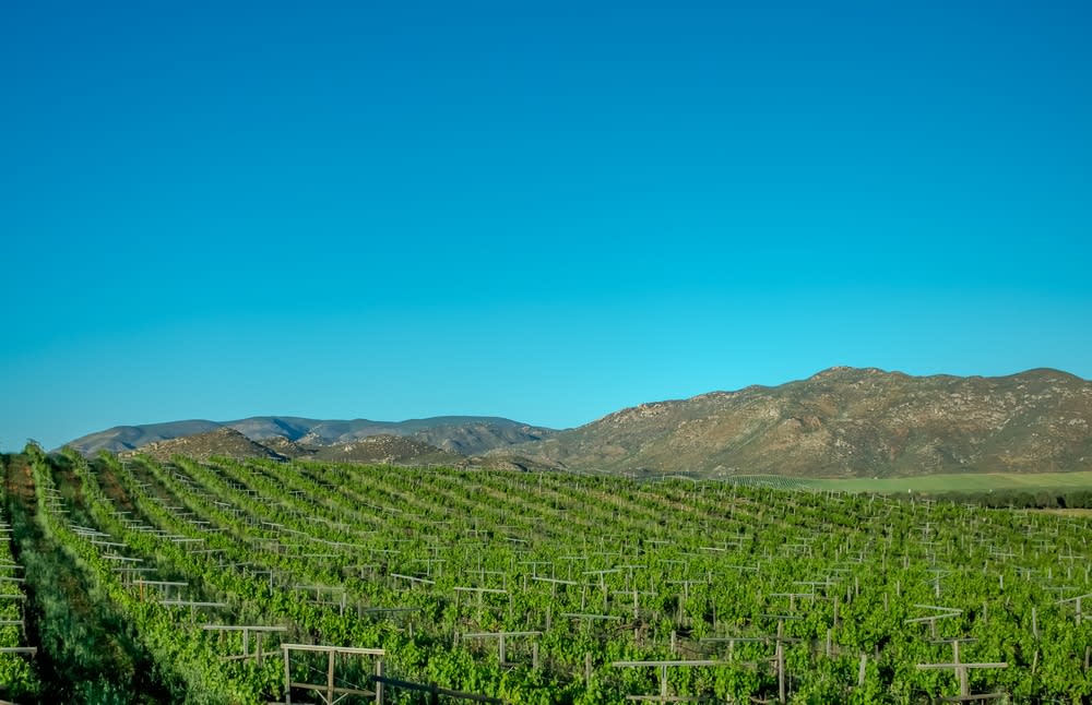 tecate mexico