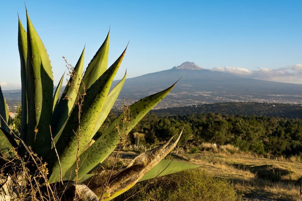tlaxcala mexico