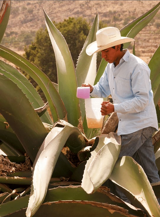 mexico travel and leisure