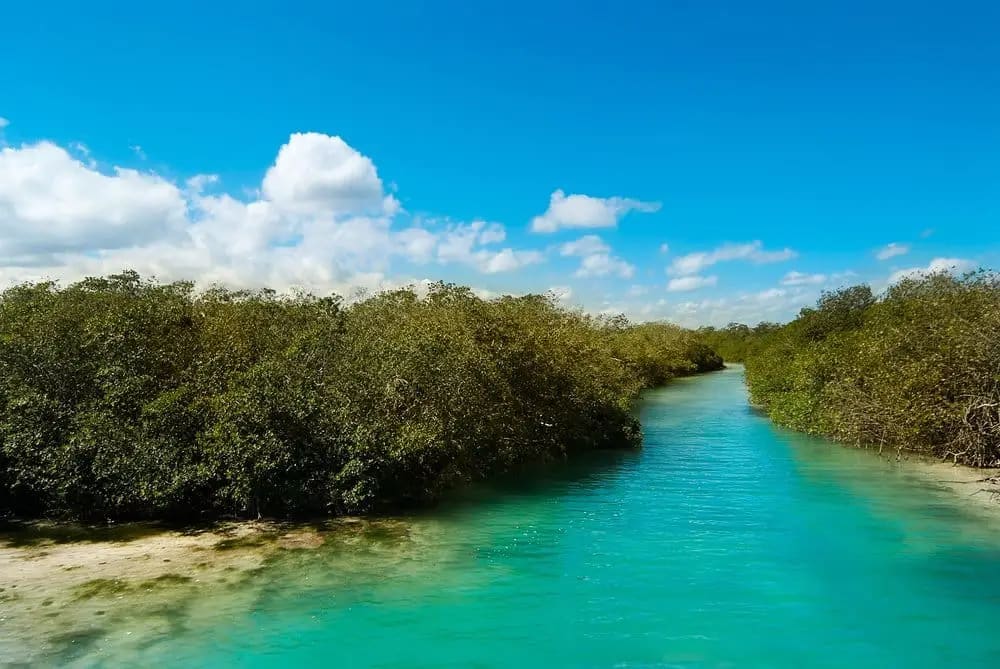 mexico travel and leisure