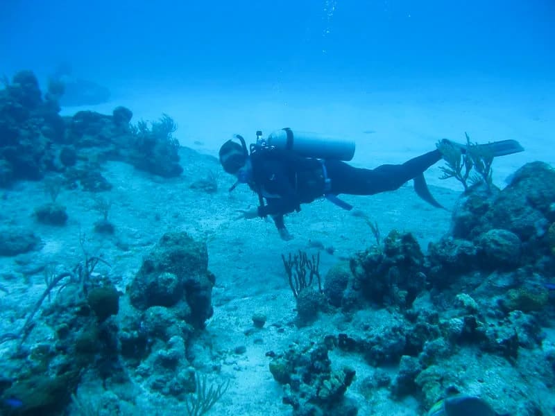 tulum mayan reef