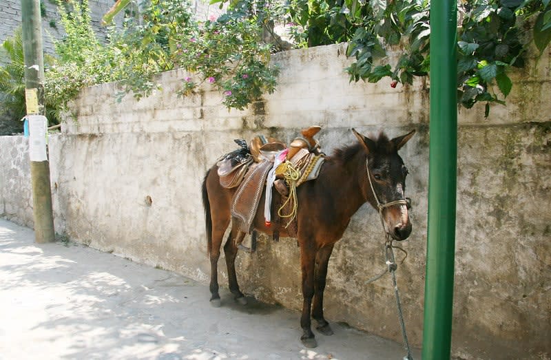yelapa mexico